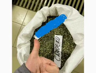 Зображення для оголошення Куплю махорку стебло тютюнове