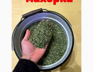 Зображення для оголошення Нужна махорка для домашнего использования