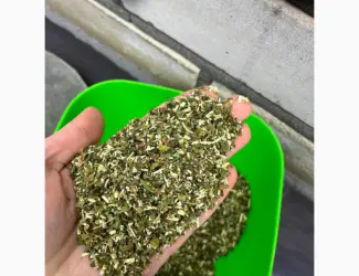 Зображення для оголошення Куплю махорку в любом количестве