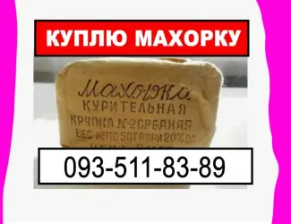 Зображення для оголошення Покупаем махорку разную