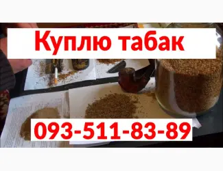Зображення для оголошення Купимо махорку від виробника