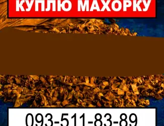 Зображення для оголошення Скуповую махорку табак