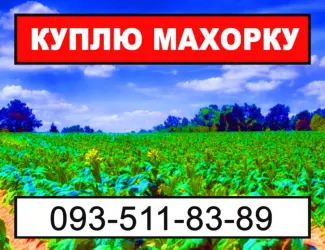 Зображення для оголошення Махорка - Ваша