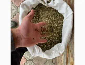 Зображення для оголошення Махорка Самосад