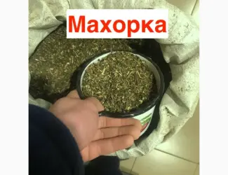 Зображення для оголошення Махорка 2025 року для справжніх цінителів