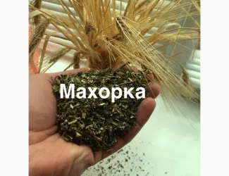 Зображення для оголошення МАХОРКА - САМОСАД по народному ! продам