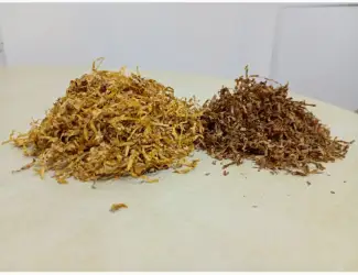 Продам тютюн гарної якості / Аксесуари / гільзи