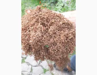 Зображення для оголошення Продам тютюн