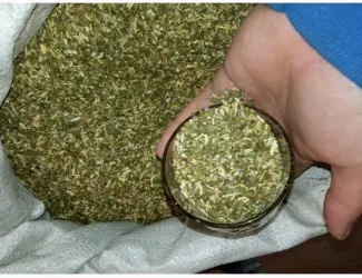 Зображення для оголошення Класний свій табак під машинки (махорка ) і Вірджінія домашня не мокра ! під гільзи