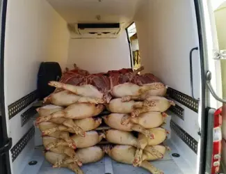 М’ясо, Свинина. Пропоную туші, мясо свиней