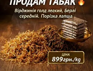 Зображення для оголошення Продам Табак