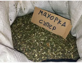 Зображення для оголошення Домашній тютюн махорка самосад все своє не заводське