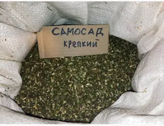 Зображення для оголошення Просто самосад або махорка