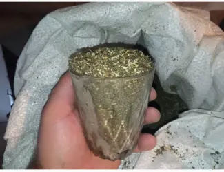 Зображення для оголошення Махорка така як треба