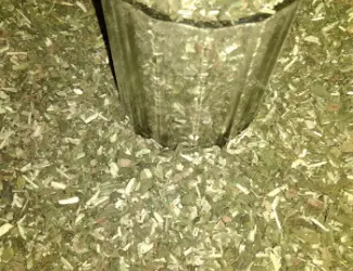 Махорка