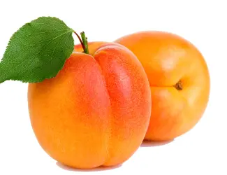 Зображення для оголошення Куплю абрикосы