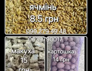 Зображення для оголошення Ячмінь макуха картопля сіль