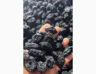 Продам сливу бездимну