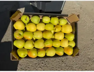 Зображення для оголошення Продам яблука Екстра класу
