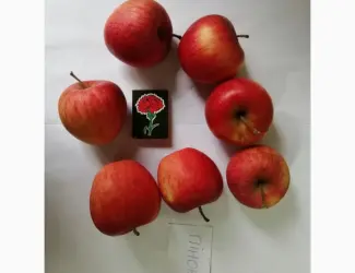 Зображення для оголошення Срочно продам яблоки разных сортов и сок натуральнный от производителя
