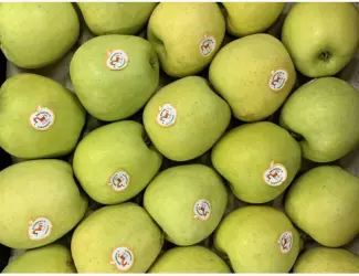 Зображення для оголошення Куплю яблука сорту Golden Delicious