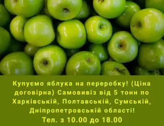 Зображення для оголошення Купуємо яблука на переробку