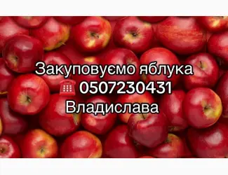 Зображення для оголошення Купуємо яблука на переробку в необмеженій кількості.Куплю яблука
