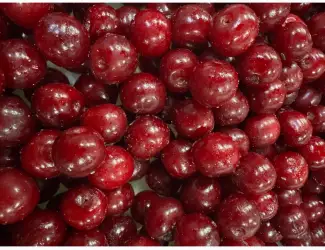 Зображення для оголошення Продам вишню