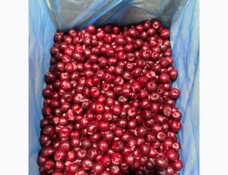 Зображення для оголошення Продами вишню з кісточкою
