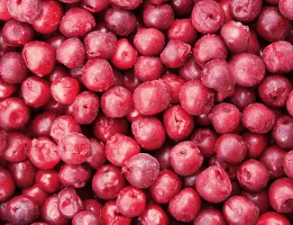 Зображення для оголошення Продам Вишню