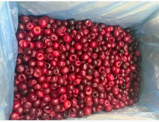 Зображення для оголошення Продам заморожену вишню б/к