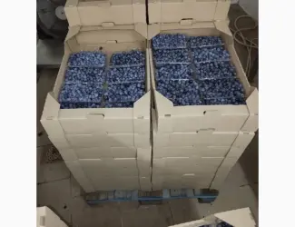 Продам лохину