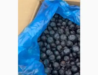 Зображення для оголошення Продам заморожену лохину крупного калібру оптом від 10 тонн