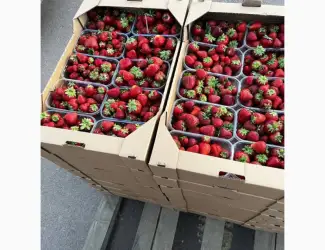 Зображення для оголошення Продам полуницю