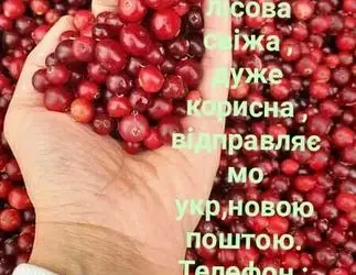 Зображення для оголошення Журавлина лісова очищена