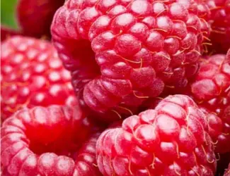 Зображення для оголошення Куплю малину свежую для заморозки
