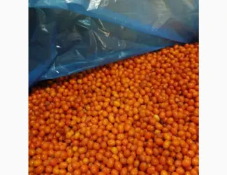 Зображення для оголошення Продам обліпиху заморожену