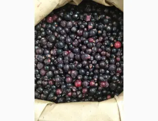 Зображення для оголошення Продам заморожену смородину Б-клас
