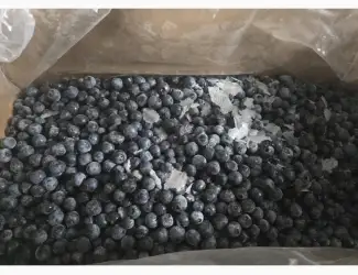 Зображення для оголошення Продам морожену чорницю