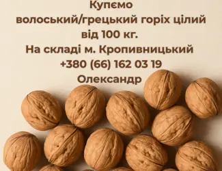 Зображення для оголошення Куплю цілий волоський (грецький) горіх