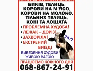 Заготівля врх та коней