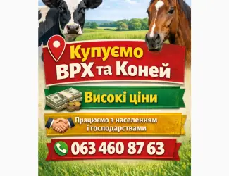 Зображення для оголошення Куплю врх