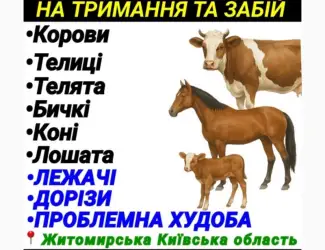 Зображення для оголошення Закупівля врх житомирська київська область