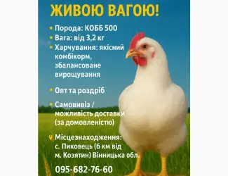 Зображення для оголошення Продам бройлерів живою вагою