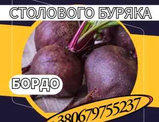 Зображення для оголошення Насіння Столового Буряка Бордо. Насіння Столового Буряка