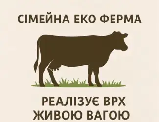 Продам биків живою вагою