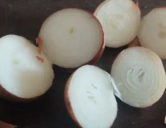 Цибуля ріпчаста