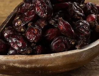 Зображення для оголошення Куплю сухие плоды бузины.рябины красной. шиповника. боярышника.Оплата договорная