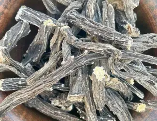 Зображення для оголошення Лопух