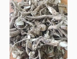 Куплю коріння